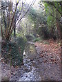 The Kyd Brook - East Branch, on Gumping Common (4)