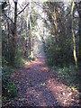 Footpath west of Gumping Common