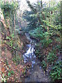 The Kyd Brook - East Branch, on Gumping Common (8)