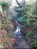 TQ4466 : The Kyd Brook - East Branch, on Gumping Common (8) by Mike Quinn