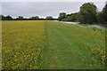 River Thames near Northmoor Lock