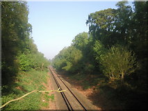 TQ4468 : Single track railway line near Petts Wood by Marathon