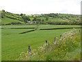 Fields in the Nant Cae-garw valley