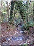 TQ4466 : The Kyd Brook - East Branch, on Gumping Common (10) by Mike Quinn