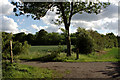 Bridleway and Footpath Junction, Black Lane