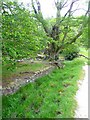 SE0938 : Haha and veteran tree, Cottingley Wood Estate by Humphrey Bolton