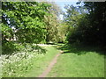 Path along the northern edge of Putney Heath