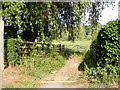 Footpath to the playing fields