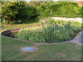 Pond at Framlingham Castle