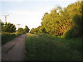 Stainforth Moor Road