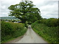 A lane leading to Upper Lea