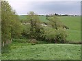 Fields near Trelights