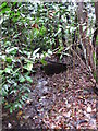 Stream feeding the Ravensbourne/Quaggy system, south of Beech Dell, BR2 (2)