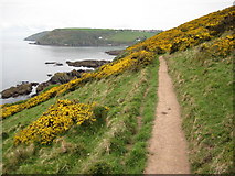 SX2351 : Coast path and Talland Bay by Philip Halling
