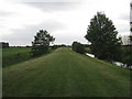 Between South Engine Drain and the River Torne