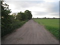 Simms Hill Farm Drain and track