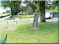 Oak sculpture, Trevethin