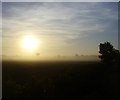 Bilton Fields Sunrise