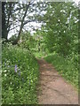 The London LOOP approaches Baber Bridge