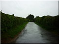SO6488 : The entrance to Bank Farm, Neenton by Ian S