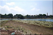 SZ6199 : Haslar Lake at low tide (7) by Barry Shimmon