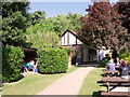 TQ5201 : Litlington Tea Gardens, East Sussex by nick macneill