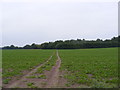 TM2644 : Footpath to Newbourne Road by Geographer