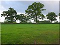 Countryside near Hill Street