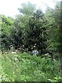 Lofthouse Colliery Nature Park - rail sign