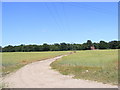 Footpath off Dobbs Lane