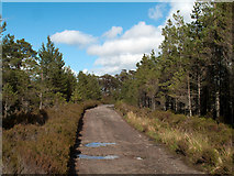 NH1922 : Forest/estate road below Pollan Buidhe by Trevor Littlewood
