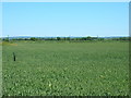 Farmland near Riverdene Farm