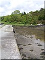 W0531 : Narrow quay on the River Ilen - Dromnacaheragh Townland by Mac McCarron