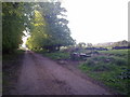 Lane near Crookhall Farm