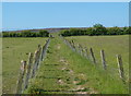 Footpath to Duckmanton