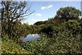 SJ4158 : The River Dee near Aldford by Jeff Buck