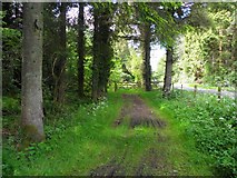 H4882 : Gortin Glens Forest Park (26) by Kenneth  Allen