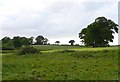 Countryside near Packers bridge