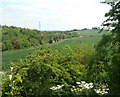 Fields by Inkersall Road