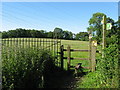 ST1180 : Footpath across fields near Radyr by Gareth James