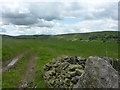 Farmland south of Kettleshulme