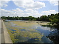 Eagle Pond, Snaresbrook