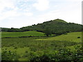 Fields near Gwaelod-y-Garth