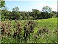 Moylarg Townland