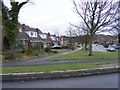 Darbys Hill Road View