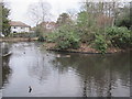 TQ4066 : Pond, Pickhurst Lane Recreation Gardens (2) by Mike Quinn