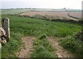 SW9075 : Field east of Tregerrin Barns by Derek Harper