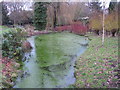 Pond, Hayes Recreation Gardens (6)