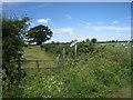 The beginning of the footpath to Coddington