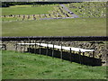 Dry Stone Walls